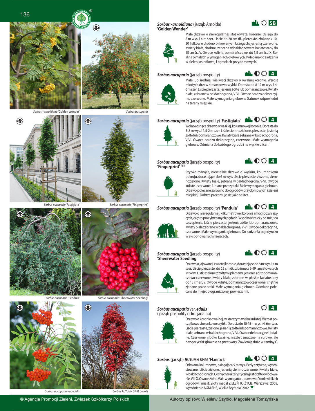 Katalog roślin 2024. Drzewa, krzewy, byliny