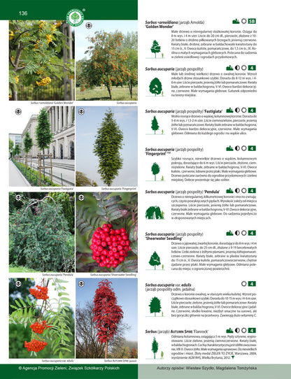 Katalog roślin 2024. Drzewa, krzewy, byliny